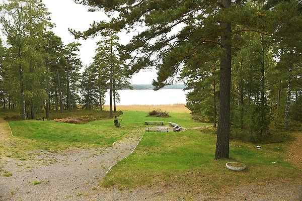 En öppen yta med grillplats och bänkar i anslutning till ett skogsparti och en sjö.